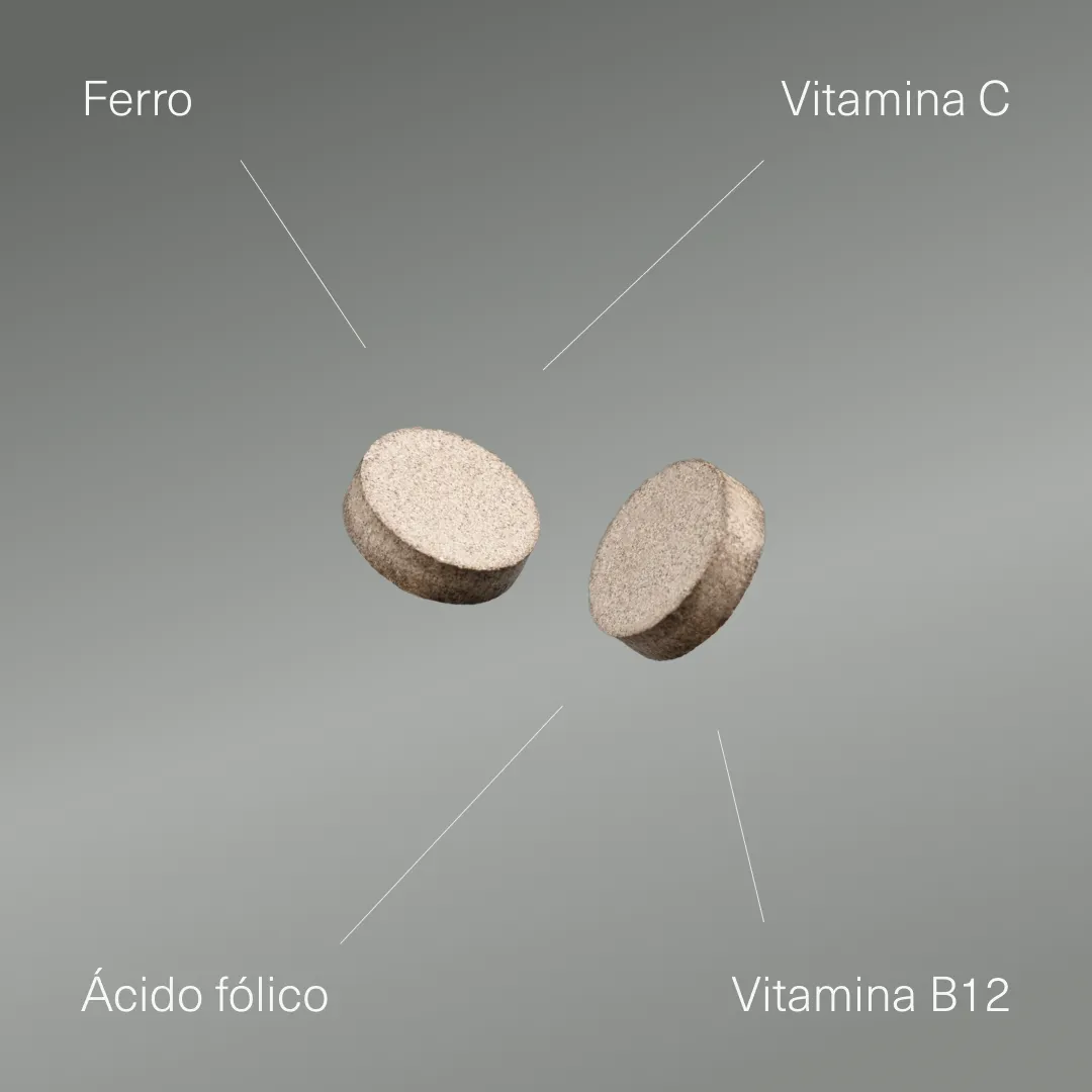 Ferro com Vitamina C, Ácido Fólico e B12