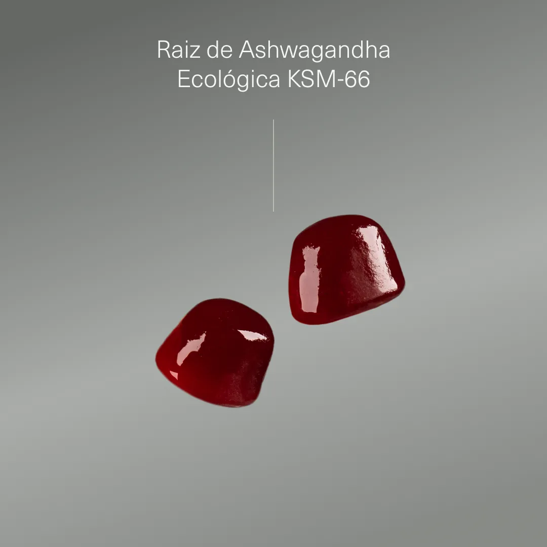 Gomas de Ashwagandha