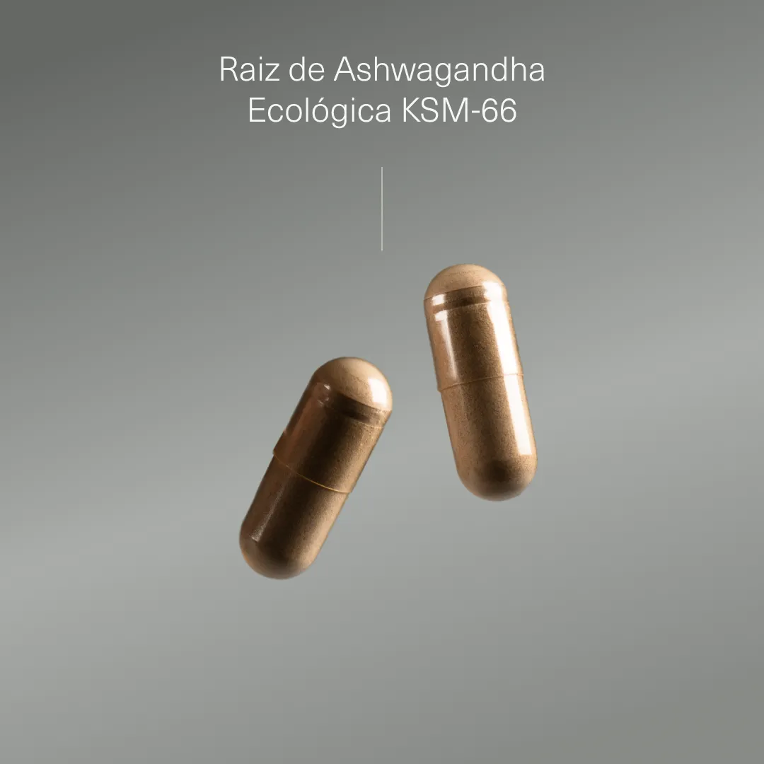 Extrato de raiz de Ashwagandha Orgânico KSM-66 ®
