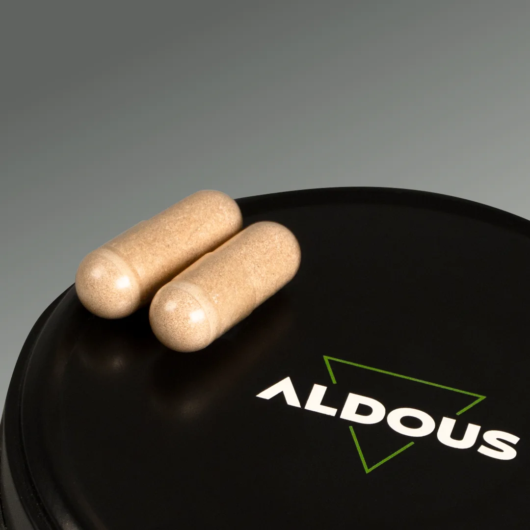 Nootrópico com Ginkgo Biloba, Juba de Leão, Cafeína, Bacopa, Tirosina, Teanina e Huperzia Serrata