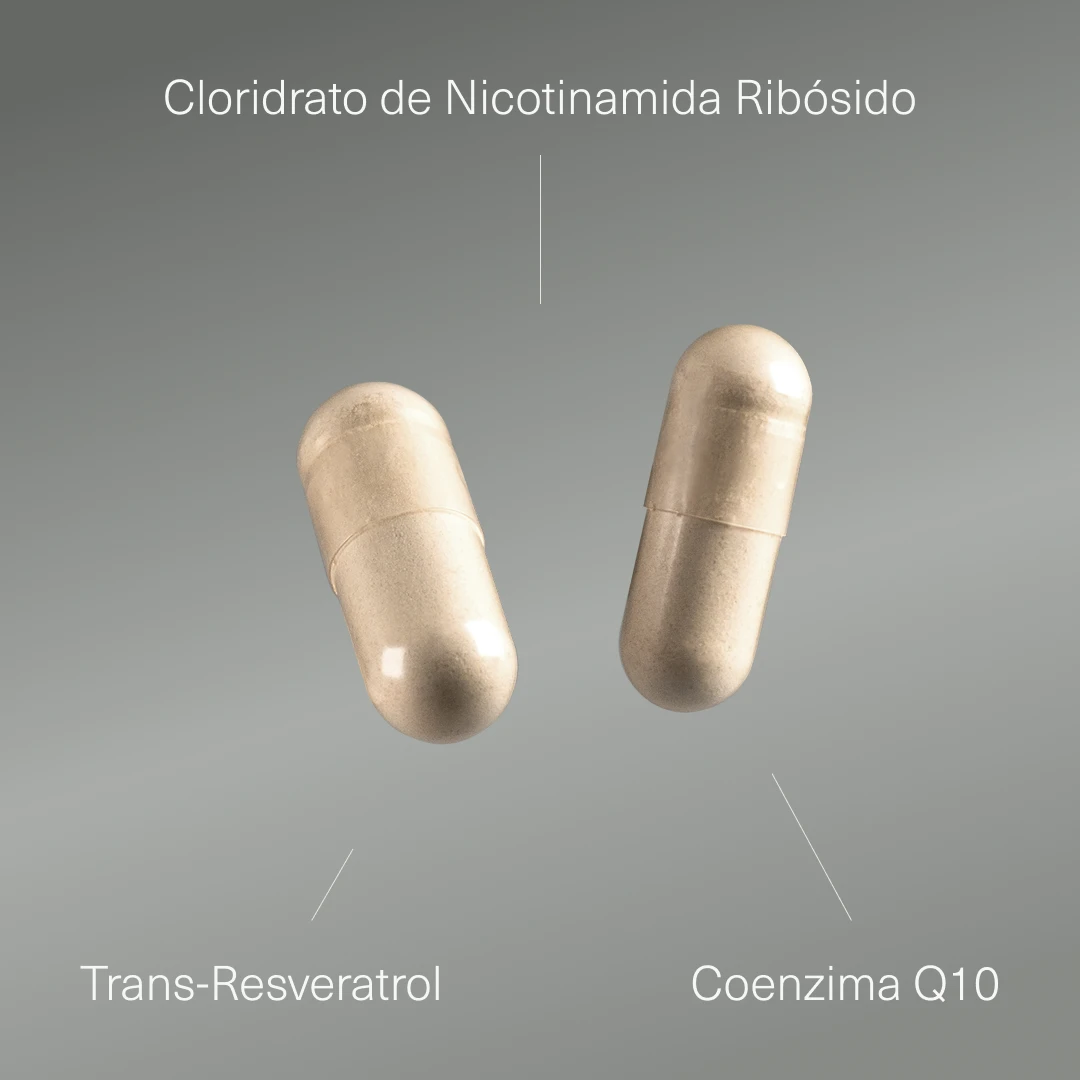 NAD+ com Resveratrol e Coenzima Q10