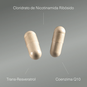 NAD+ com Resveratrol e Coenzima Q10