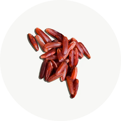 Levedura de arroz vermelho