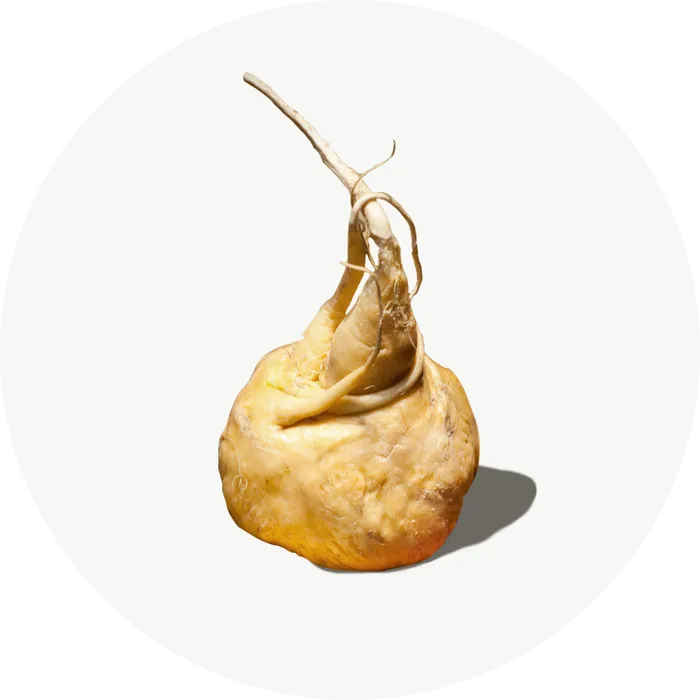 Maca Andina
