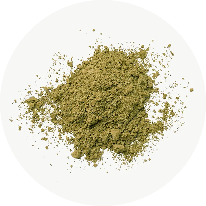 Moringa